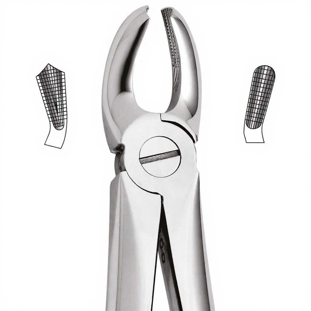 Tooth Forceps For Upper Molars, Right
