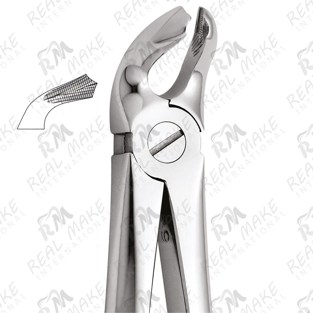Tooth Forceps For Lower Molars