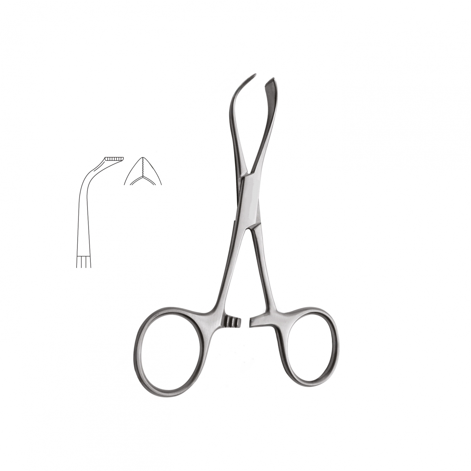 Lorna Tissue Forceps