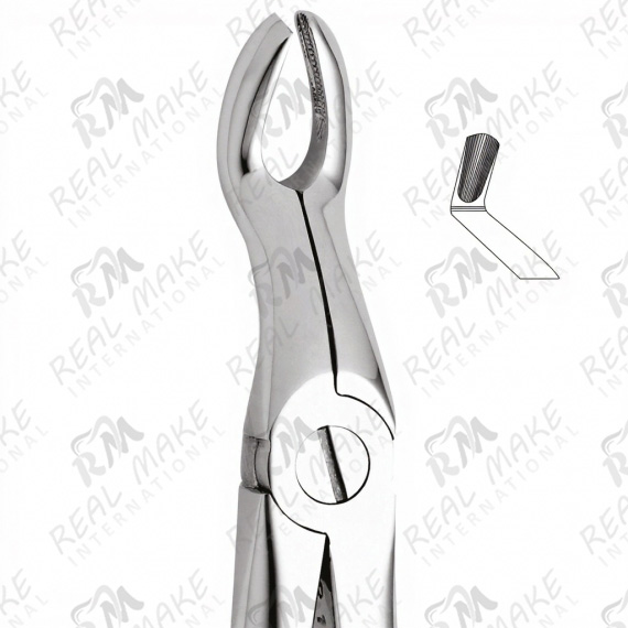Tooth Forceps For Upper Third Molars & Upper Wisdoms Either Side