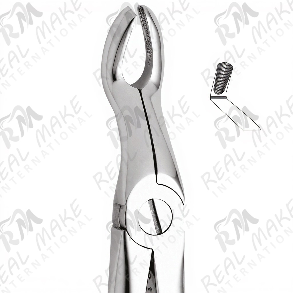 Tooth Forceps For Upper Third Molars & Upper Wisdoms Either Side