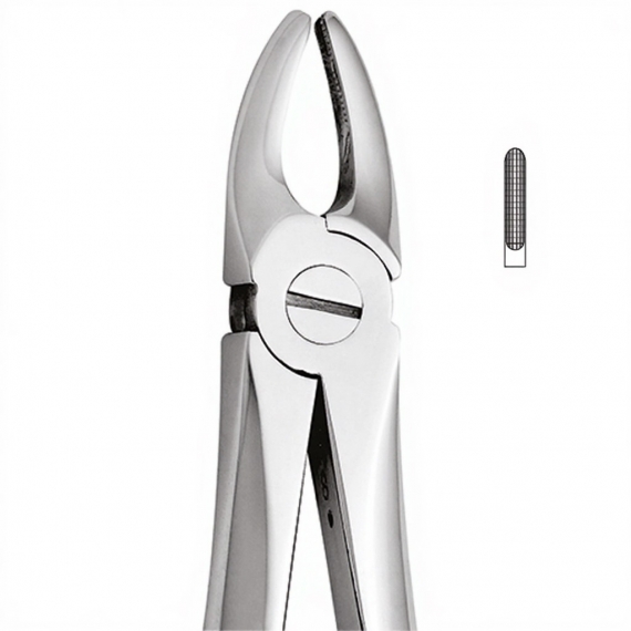 Tooth Forceps For Upper Lateral and canines