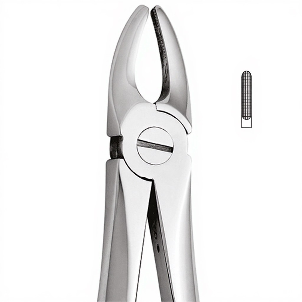 Tooth Forceps For Upper Lateral and canines