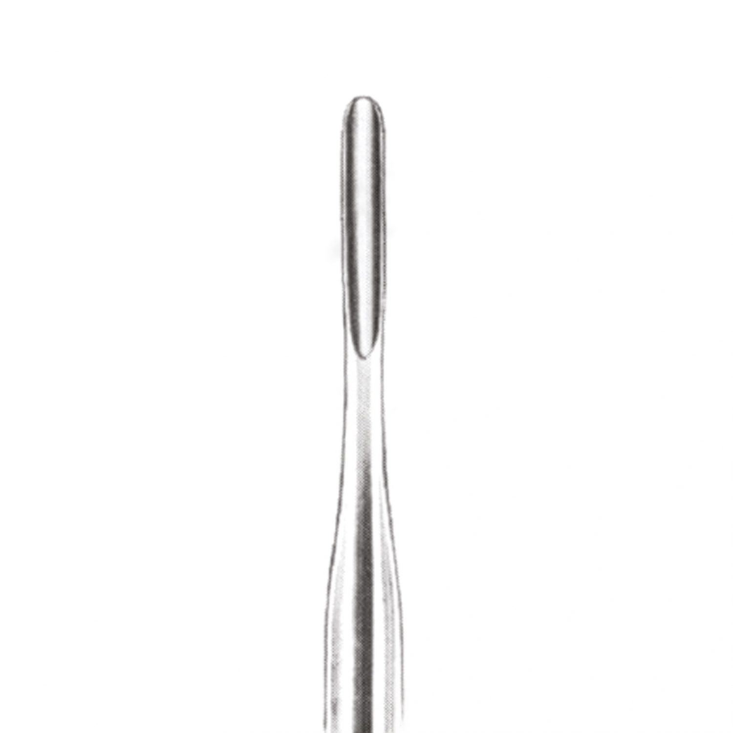  Root Elevators (Seldin 34S) (mm 4)