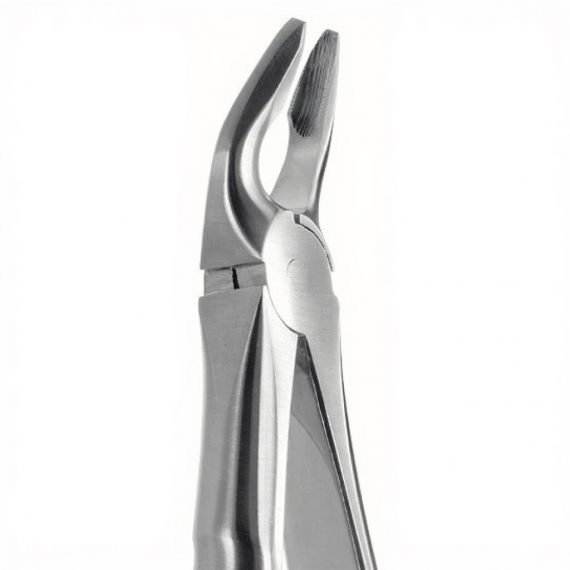 Tooth Forceps For Upper Premolars, Narrow Tips