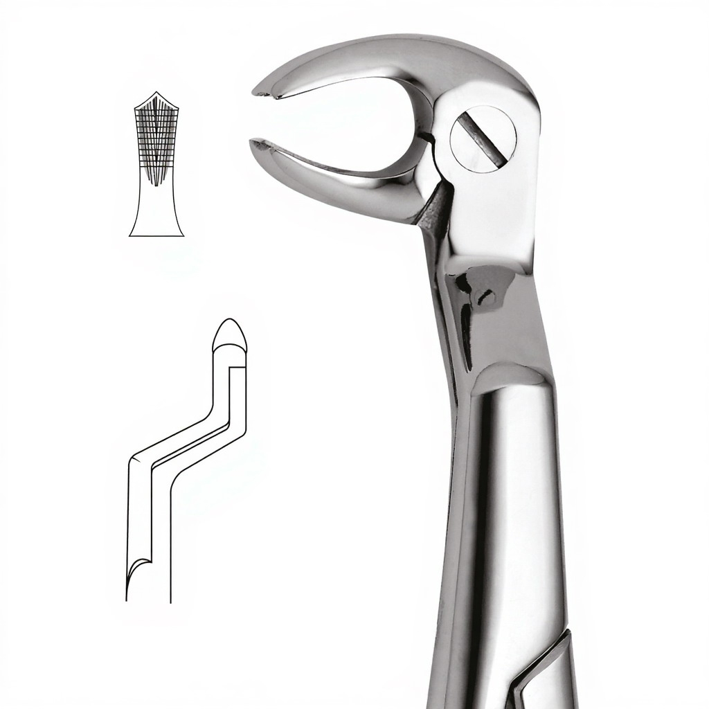Tooth Forceps For Lower Molars & Wisdoms Left (Routurier)