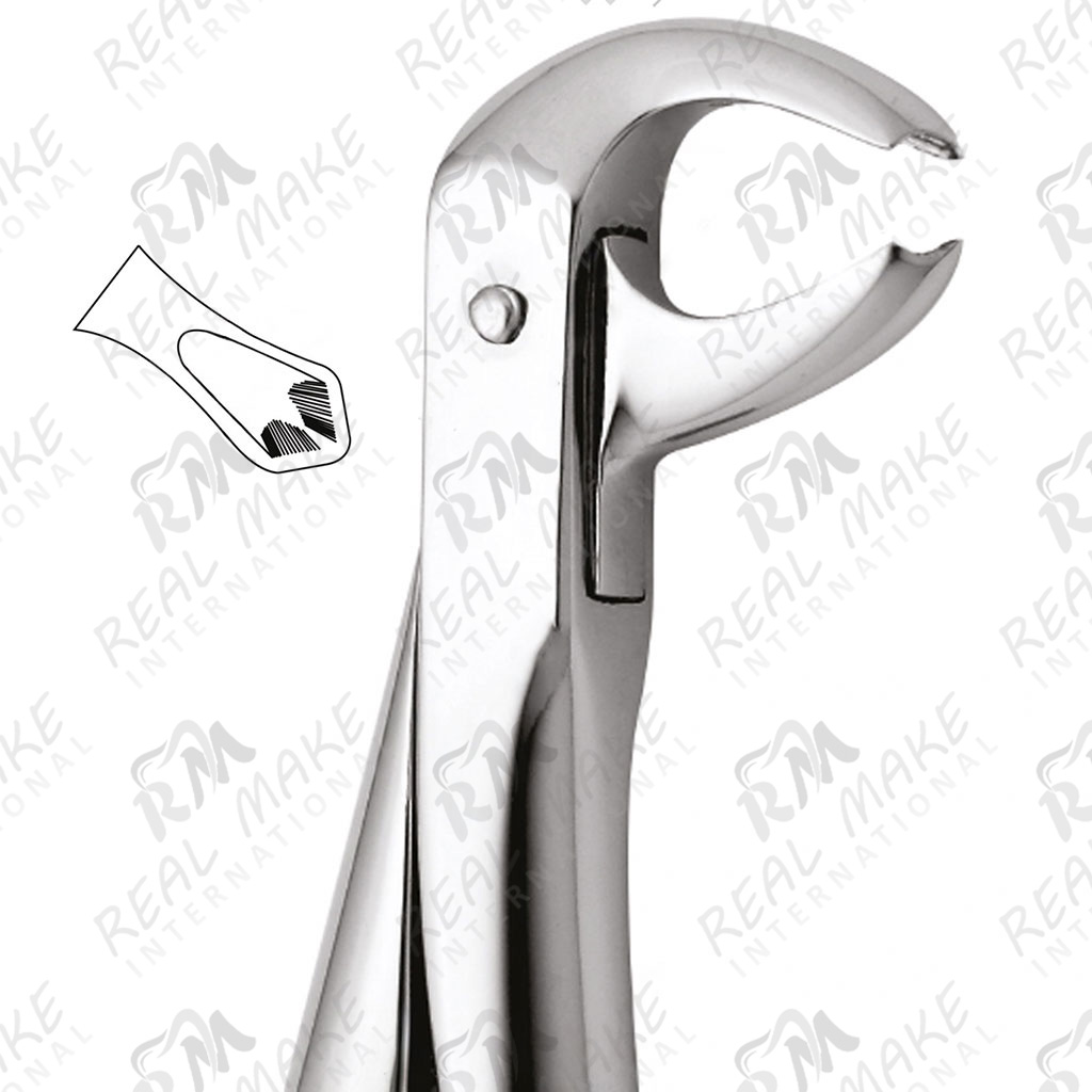 Tooth Forceps For Lower Molars (Balding)