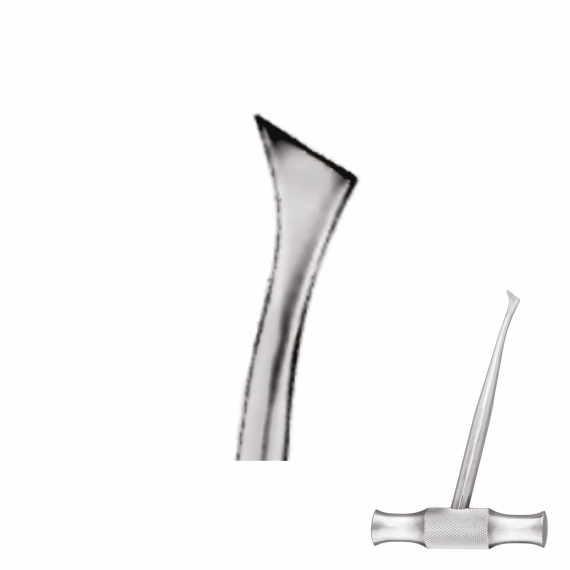 Root Elevators (Winter) (Right)