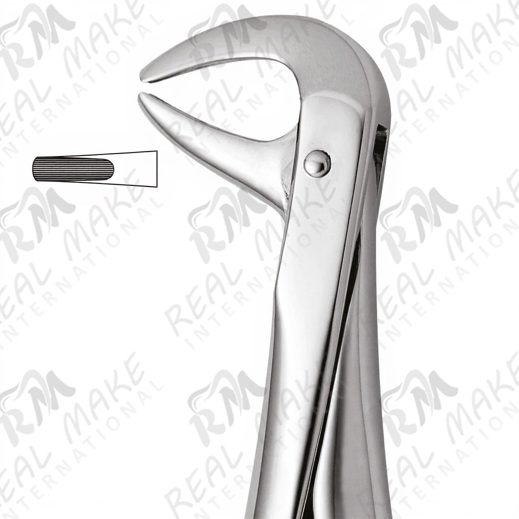 Tooth Forceps For Lower Roots