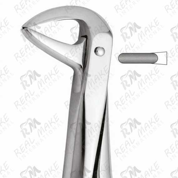 Tooth Forceps For Lower Central & Roots