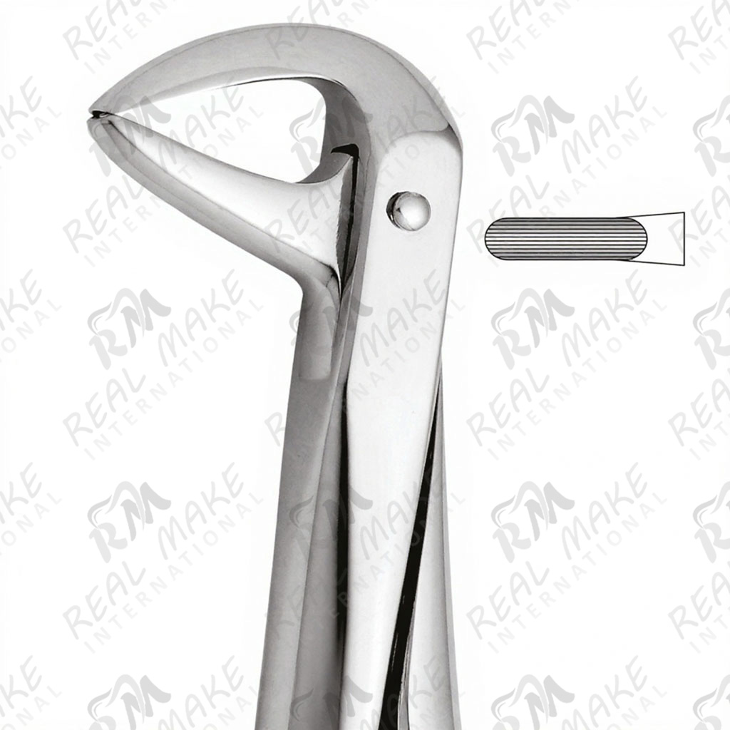 Tooth Forceps For Lower Central & Roots
