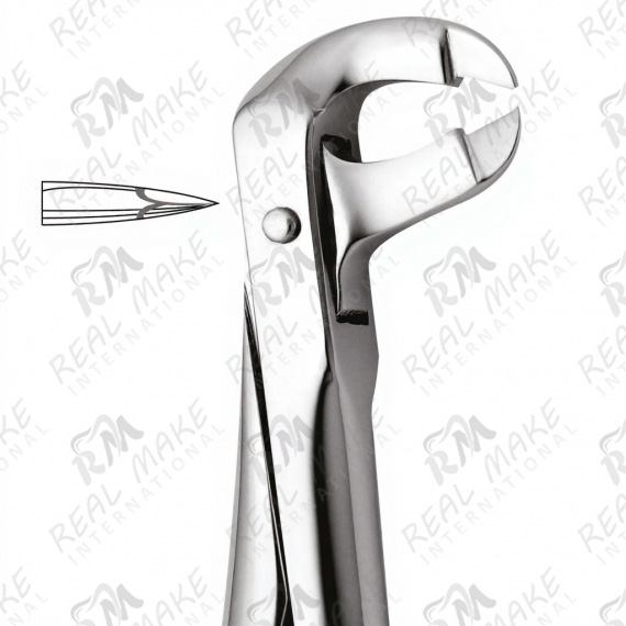 Tooth Forceps For Separating Lower Molars (Rowney)