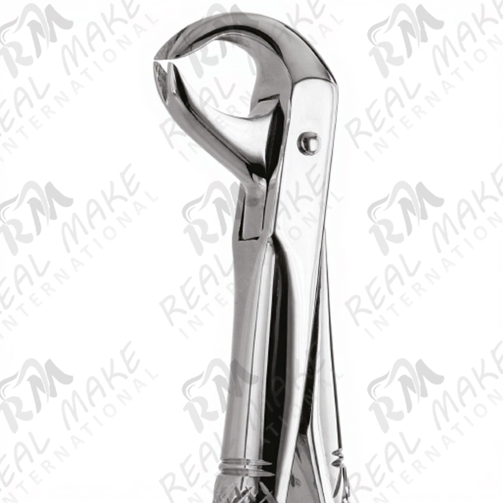 Tooth Forceps For Central Laterals Premolars Lower Canines & all Roots