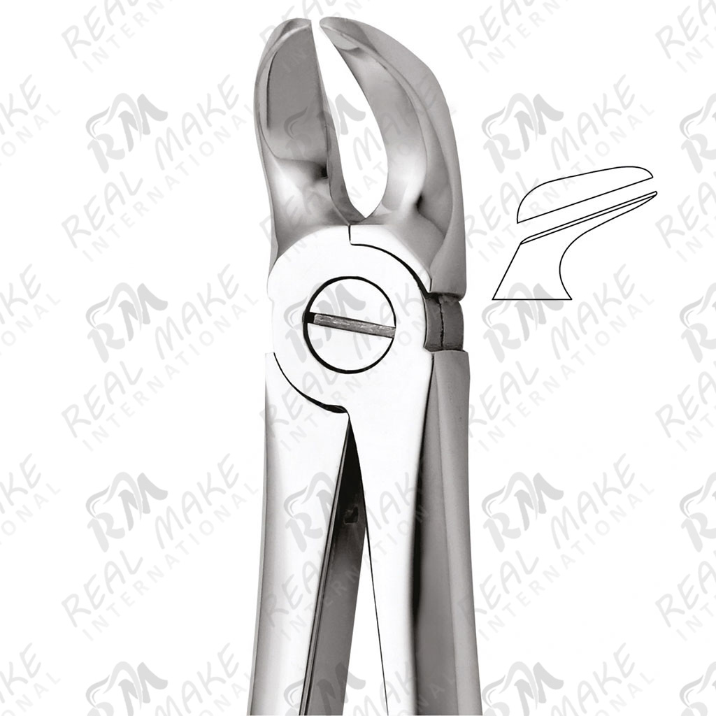 Tooth Forceps For Separating Lower Molars