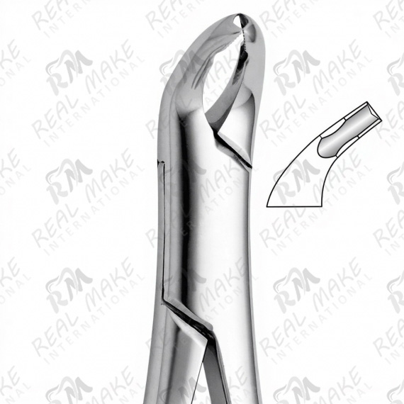 Tooth Forceps For Lower Incisors, Premolars & Roots