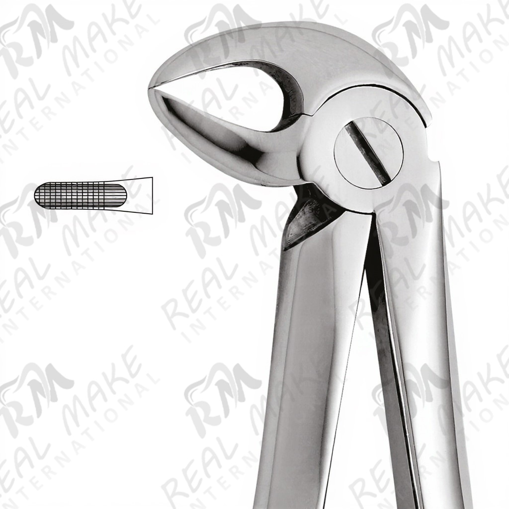 Tooth Forceps For Lower Roots