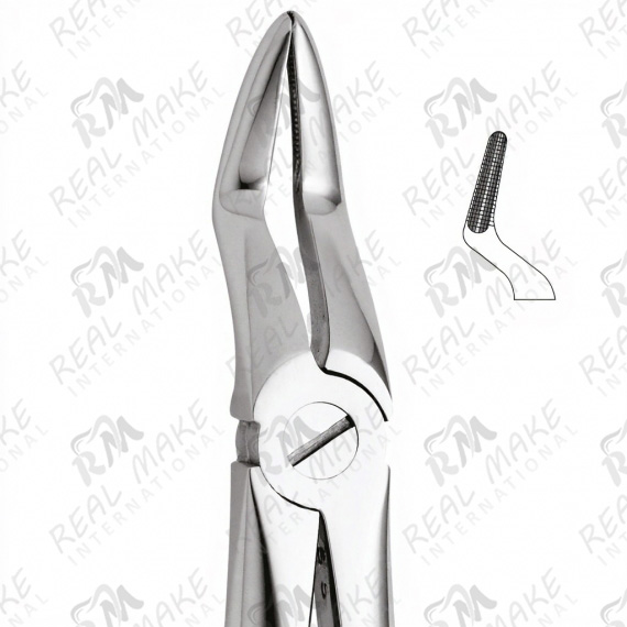 Tooth Forceps For Upper Roots