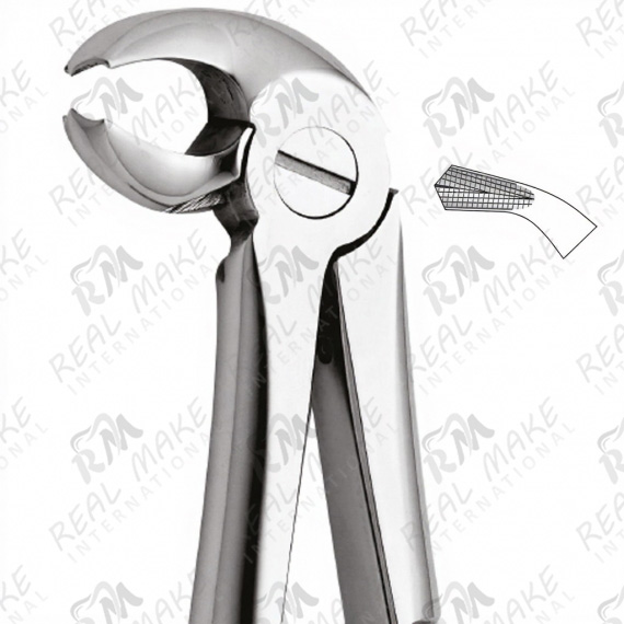 Tooth Forceps For Lower Molars, Left