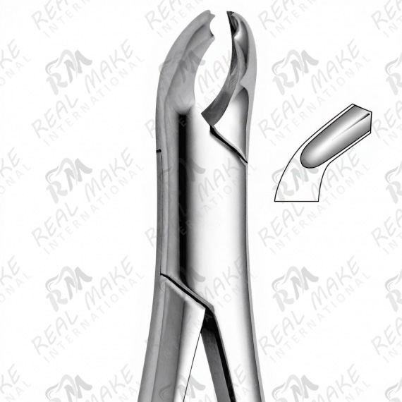 Tooth Forceps For Lower Premolars Either Side