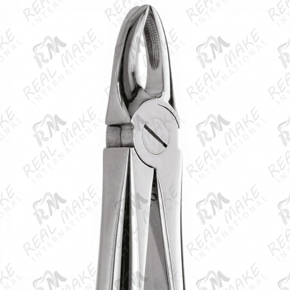 Tooth Forceps For Upper Central & Lateral teeth