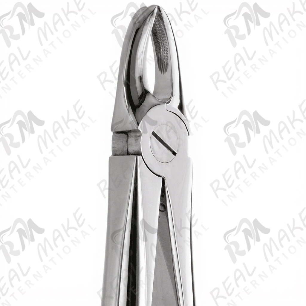 Tooth Forceps For Upper Central & Lateral teeth