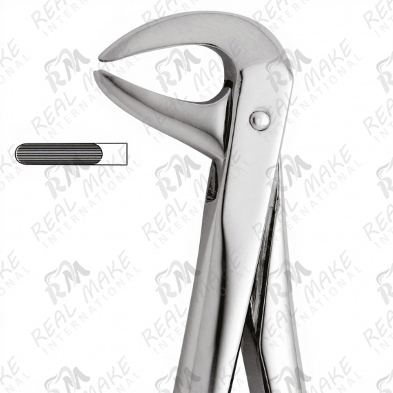 Tooth Forceps For Lower Roots & Incisors