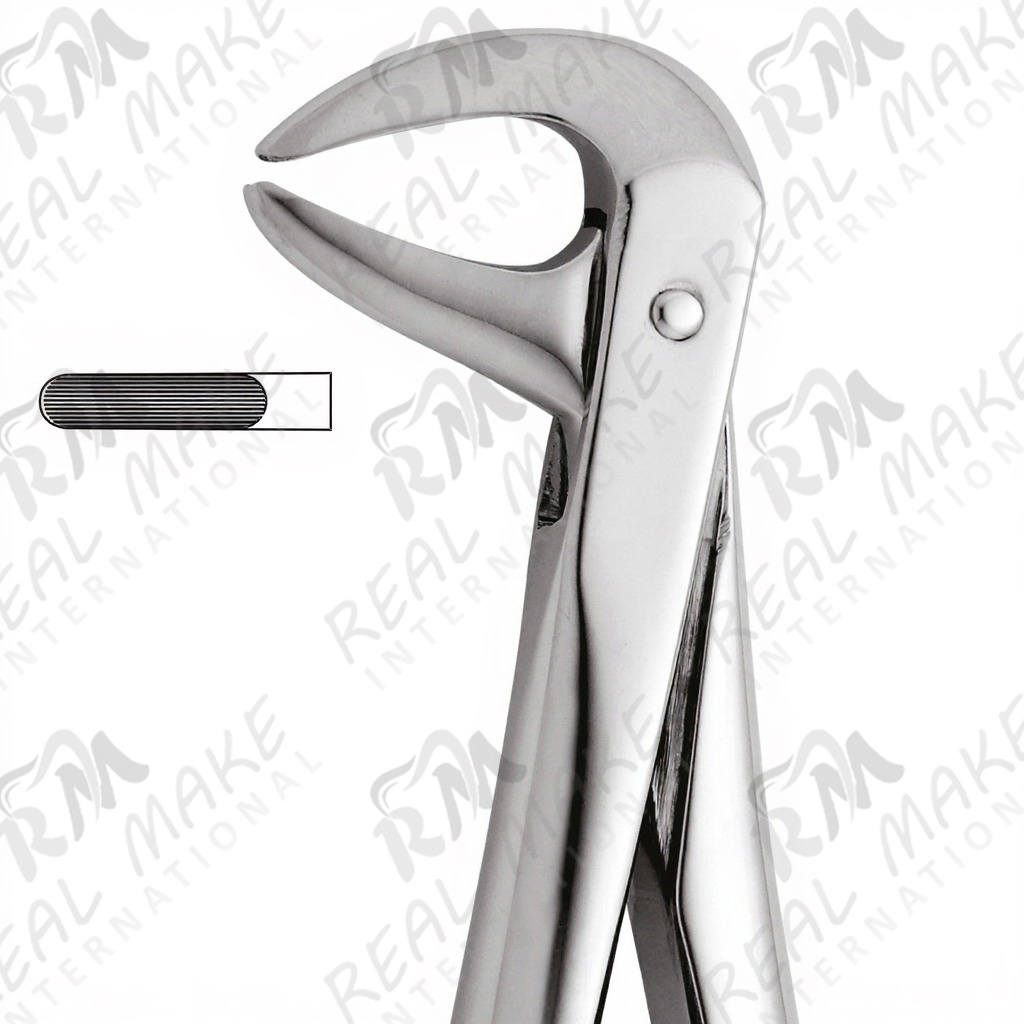 Tooth Forceps For Lower Roots & Incisors