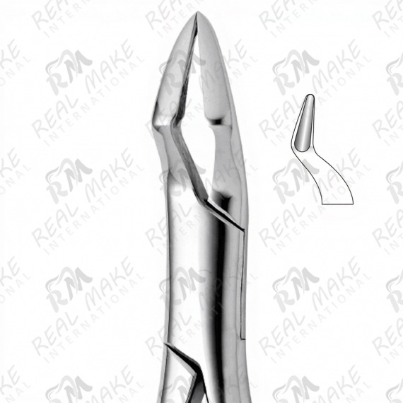 Tooth Forceps For Upper Molars, Premolars & Broad Beaks (Parmly)
