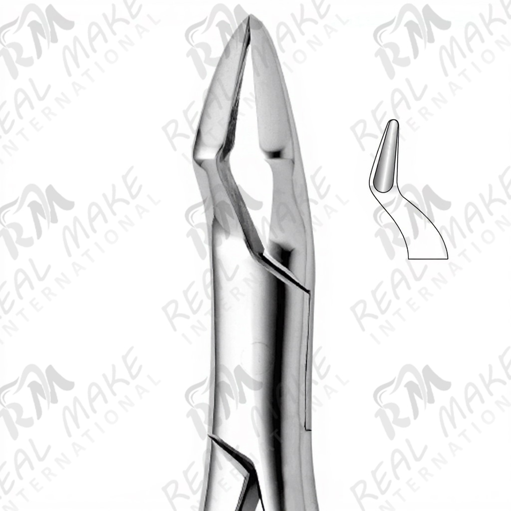 Tooth Forceps For Upper Molars, Premolars & Broad Beaks (Parmly)
