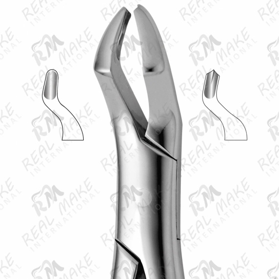 Tooth Forceps For Upper Molars Right