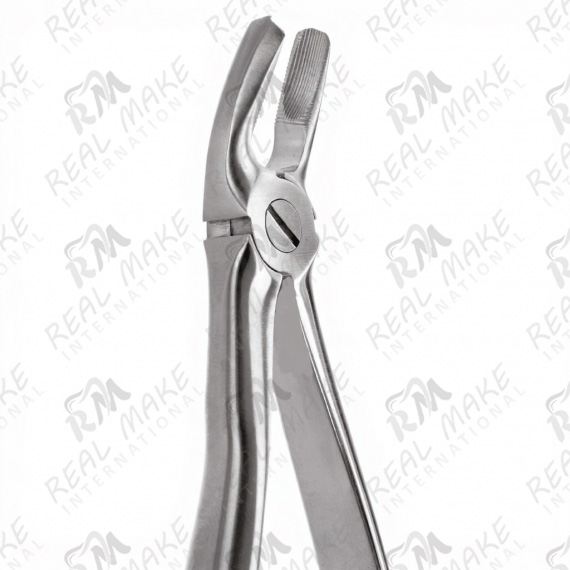 Tooth Forceps For Upper Premolars. Right