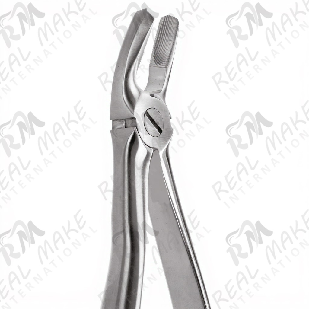 Tooth Forceps For Upper Premolars. Right