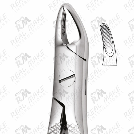 Tooth Forceps For Upper Roots (Thorne)