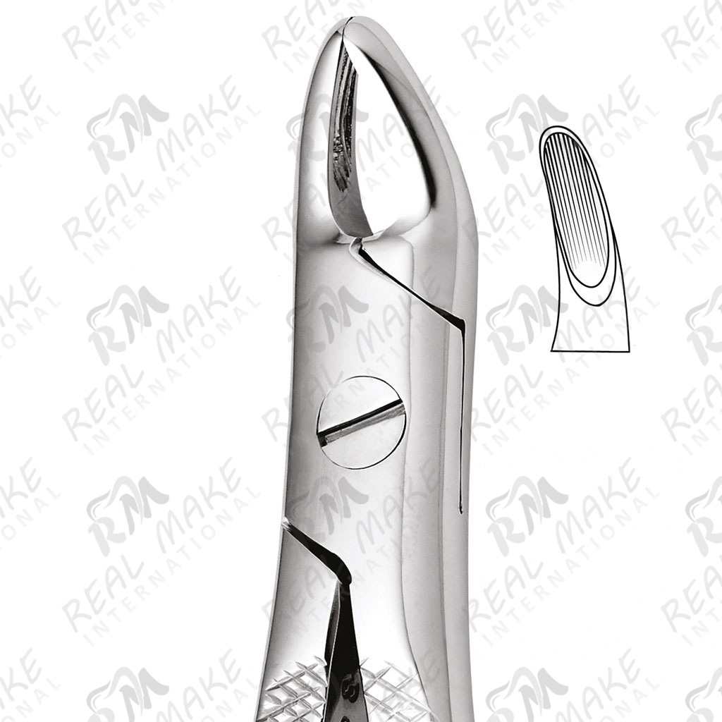 Tooth Forceps For Upper Roots (Thorne)