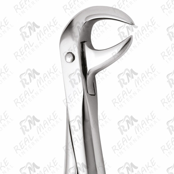 Tooth Forceps For Lower Molars Decayed or Broken Down Crowns