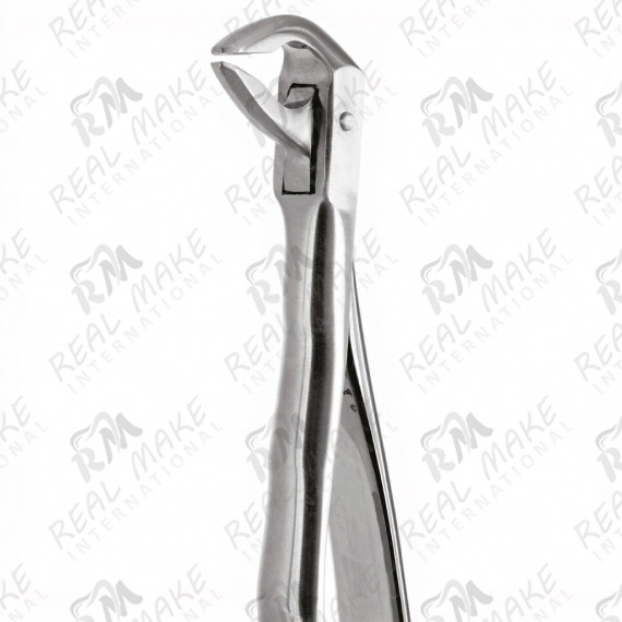Tooth Forceps For Lower Roots & incisors