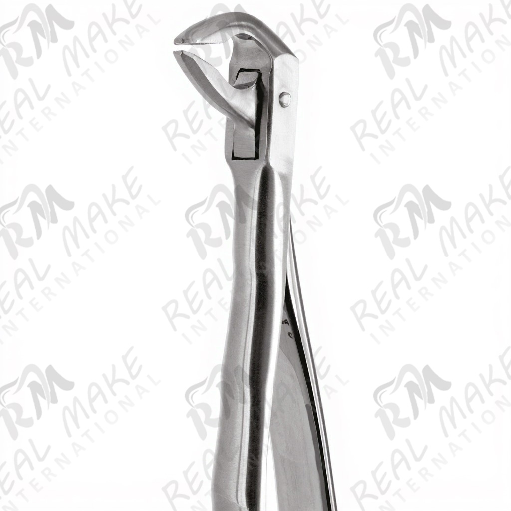 Tooth Forceps For Lower Roots & incisors