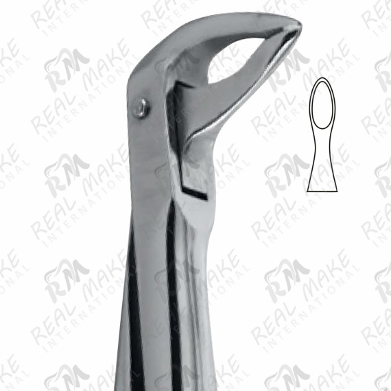 Tooth Forceps For Lower Roots