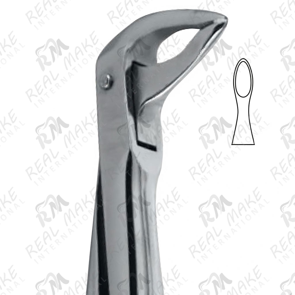 Tooth Forceps For Lower Roots