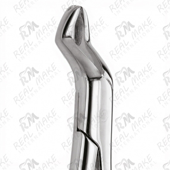 Tooth Forceps For Premolars Teeth & all Roots