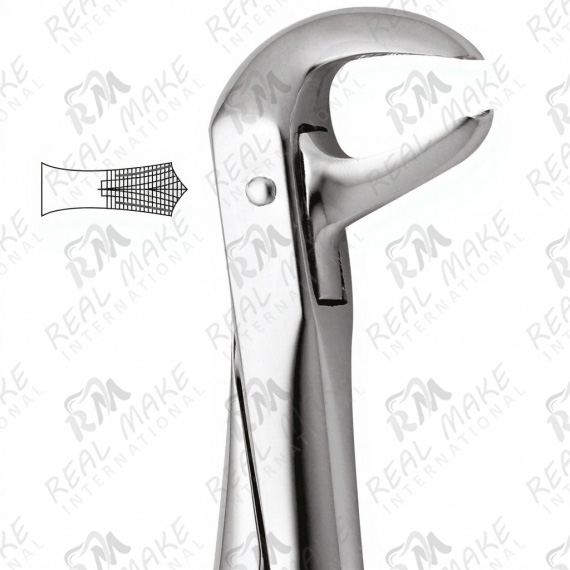 Tooth Forceps For Lower Molars