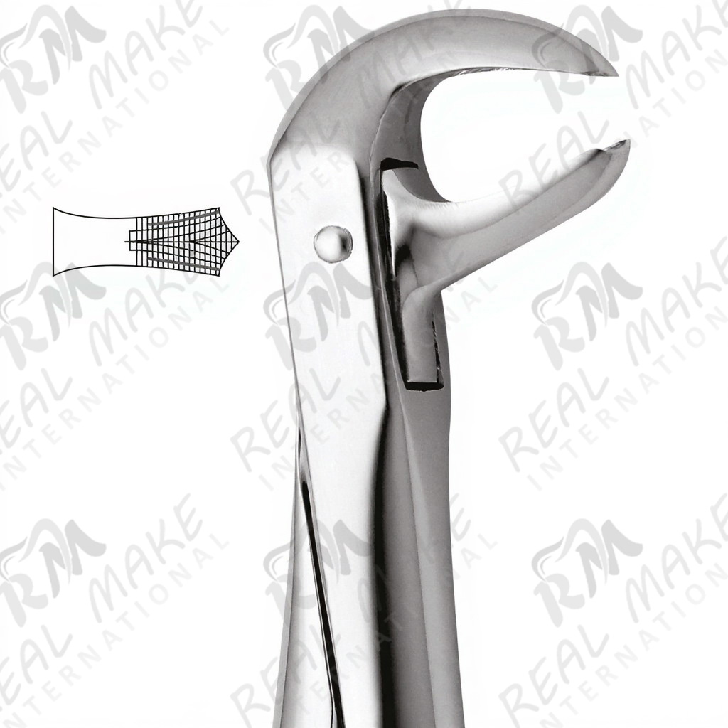 Tooth Forceps For Lower Molars