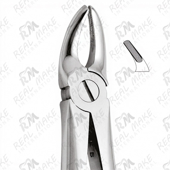 Tooth Forceps For Upper Premolars