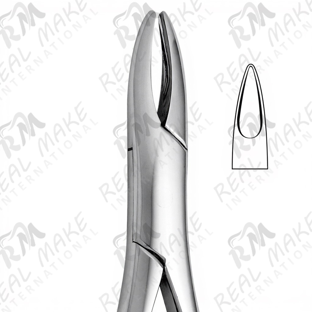 Tooth Forceps For Incisor & Canines