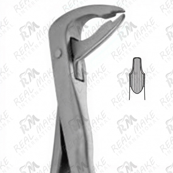 Tooth Forceps For Lower Centrals Canines & Premolars Deep Gripping