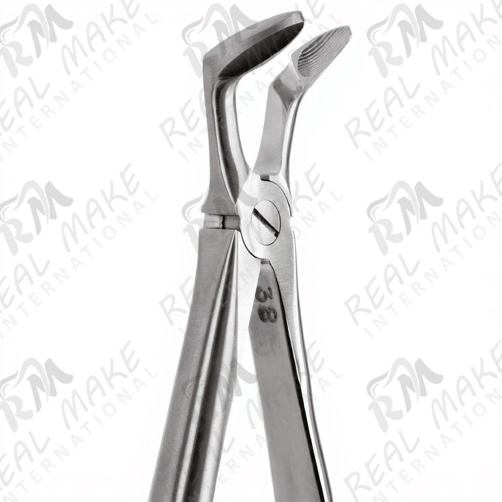 Tooth Forceps For Lower Third molars & Lower Wisdoms Either Side