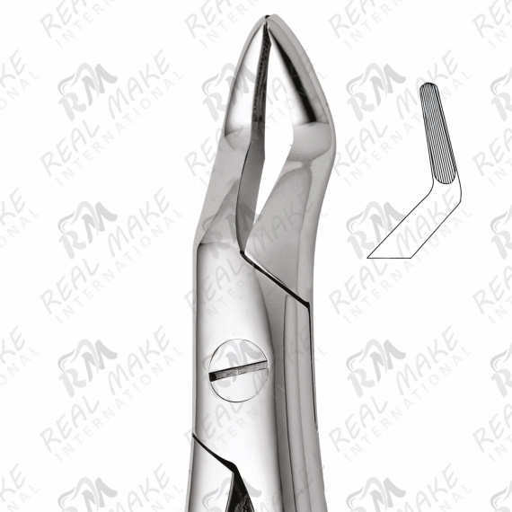 Tooth Forceps For Upper Roots
