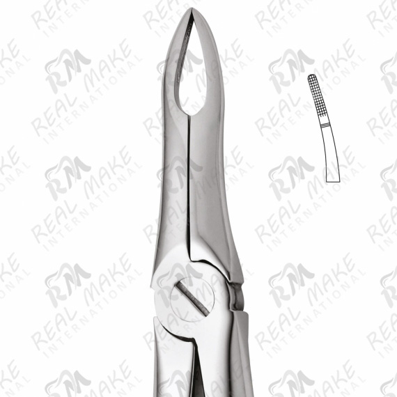 Tooth Forceps For Upper Roots