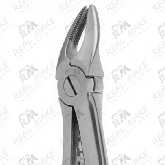 Tooth Forceps For Upper Premolars