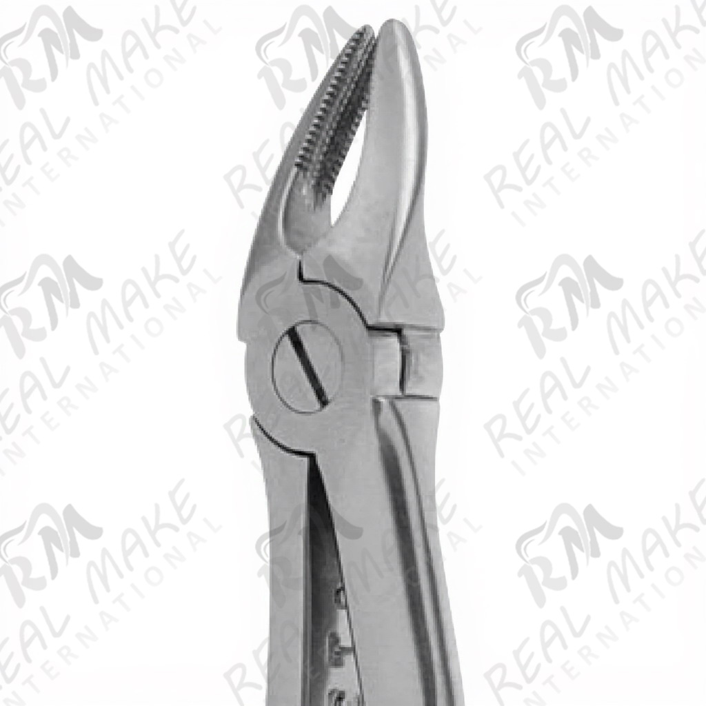Tooth Forceps For Upper Premolars